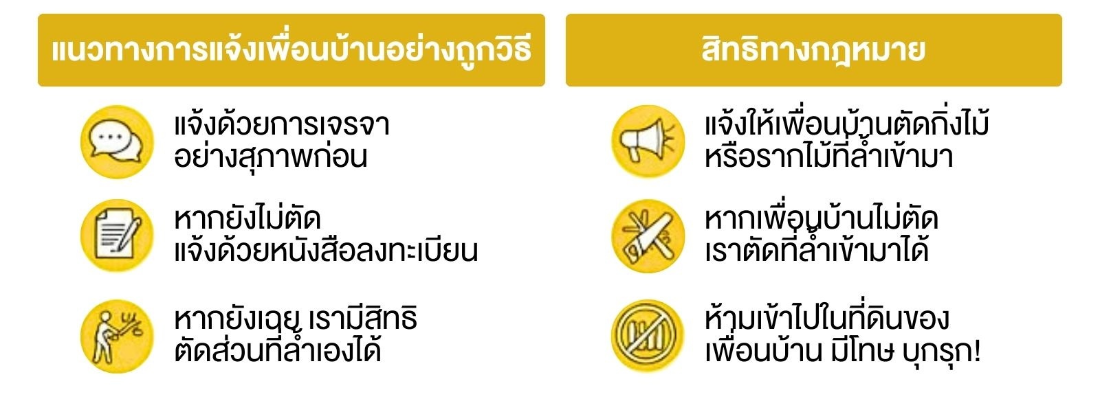 วิธีรับมือต้นไม้เพื่อนบ้านรุกล้ำเขตบ้านเรา แบบไม่ผิดใจ และไม่ผิดกฎหมาย-a.jpg